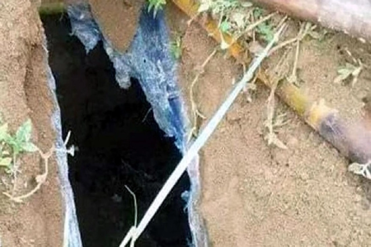কবরস্থান থেকে উধাও ১১টি কঙ্কাল