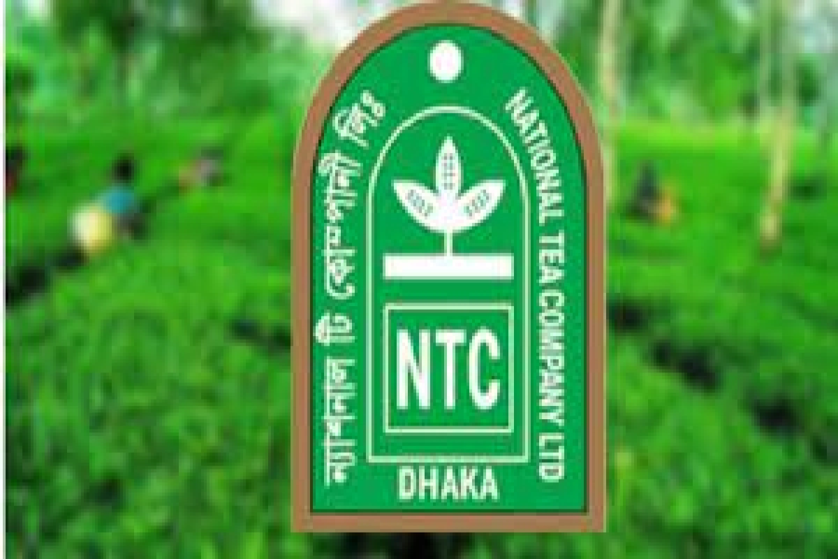 বৃহস্পতিবার দর পতনের নেতৃত্বে ন্যাশনাল টি