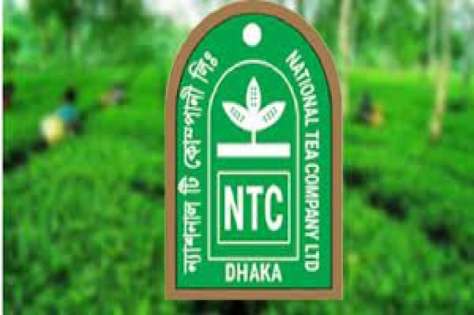 বৃহস্পতিবার দর পতনের নেতৃত্বে ন্যাশনাল টি