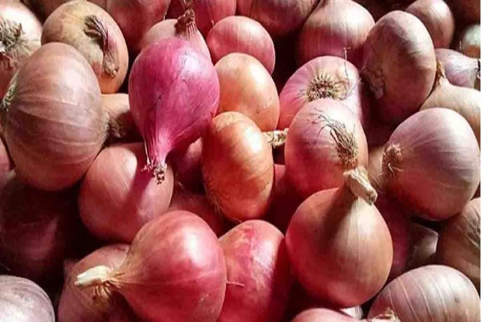 রাতে ভারত থেকে আসছে ১৬৫০ টন পেঁয়াজ